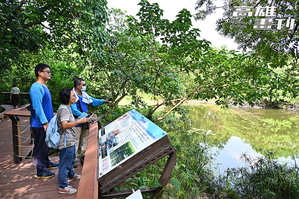 鳥松濕地公園比鄰交通便利的澄清湖風景區,是民眾休憩及觀賞濕地生態最佳場所,在濕地教育推廣中扮演重要角色。(攝影/Carter) 鳥松濕地公園比鄰交通便利的澄清湖風景區,是民眾休憩及觀賞濕地生態最佳場所,在濕地教育推廣中扮演重要角色。(攝影/Carter)