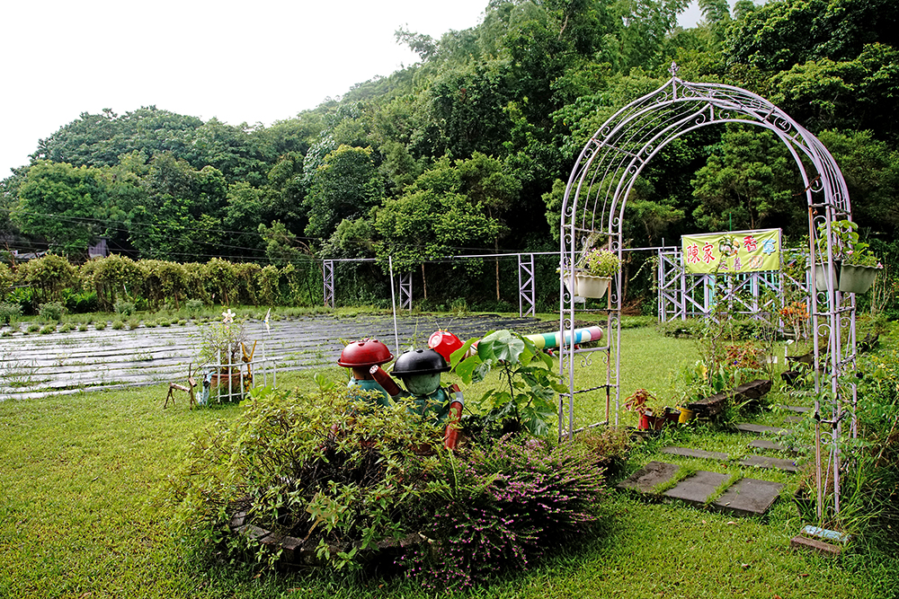 陳家香草友善農園清新幽靜,令人放鬆。 陳家香草友善農園清新幽靜,令人放鬆。