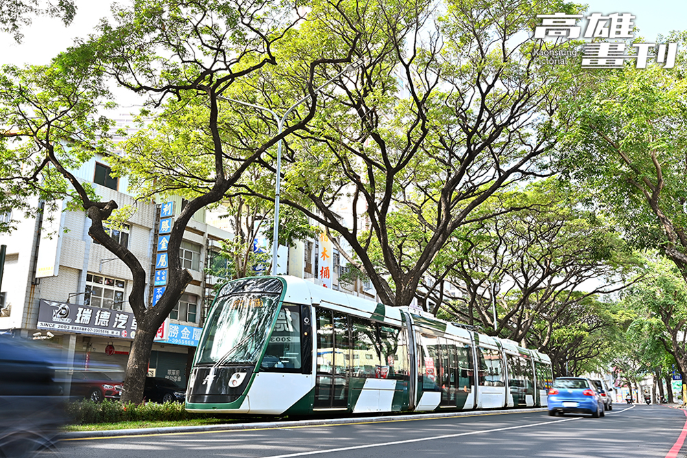 輕軌沿線大順二路從自由路至九如路口段，沿線約2.4公里有一整排相當優美的雨豆樹向道路兩旁伸展，樹蔭蔥蘢，採以站就樹原地保留之下，形成一道綠巨人隧道，也是高雄最新最夯的地標亮點。(攝影/Carter)