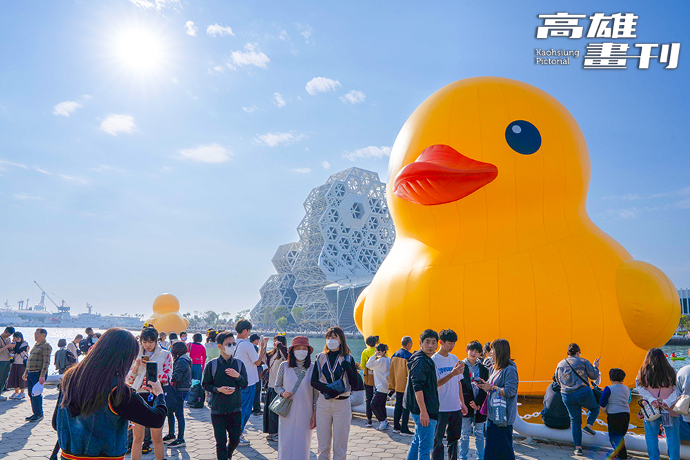 療癒的黃色小鴨暌違十年再度回到高雄,今年特地「攜伴」游進愛河灣。從(攝影/黃敬文) 療癒的黃色小鴨暌違十年再度回到高雄,今年特地「攜伴」游進愛河灣。從(攝影/黃敬文)