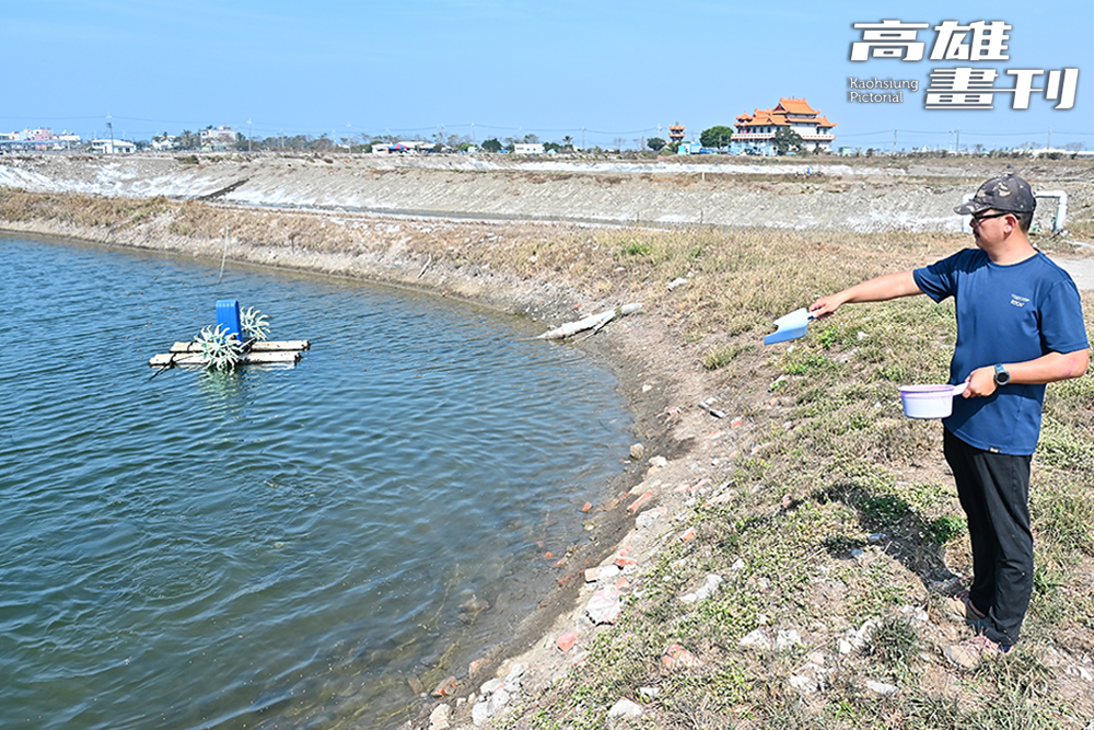 張博仁運用大自然的循環海水,以極低密度的混養多種養殖物種,仿造最自然的生態鏈。(攝影/Carter) 張博仁運用大自然的循環海水,以極低密度的混養多種養殖物種,仿造最自然的生態鏈。(攝影/Carter)