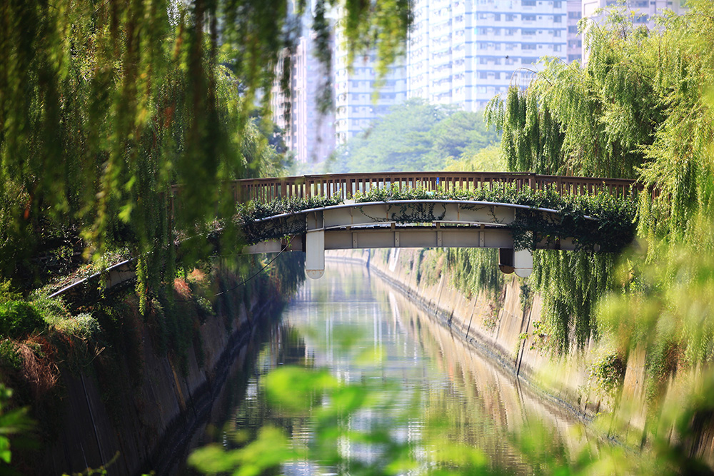 岡山河堤公園。 岡山河堤公園。