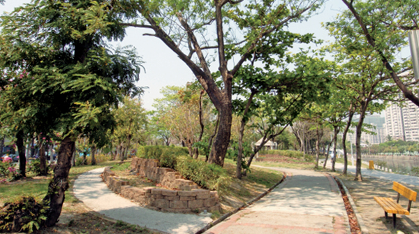 三民親子公園茂密的綠色隧道，還有可騎鐵馬悠遊的自行車道。（攝影 / 張忠義）