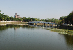 道德院前臨碧波粼粼的金獅湖,湖畔景觀優美。(圖/侯志勇攝) 道德院前臨碧波粼粼的金獅湖,湖畔景觀優美。(圖/侯志勇攝)