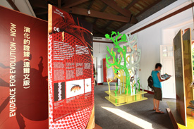 第一任領事史溫侯是博物學家,紀錄多種台灣原生物種,藉由展覽讓台灣與世界同步,思考生物的多樣性。(圖/林育恩攝) 第一任領事史溫侯是博物學家,紀錄多種台灣原生物種,藉由展覽讓台灣與世界同步,思考生物的多樣性。(圖/林育恩攝)