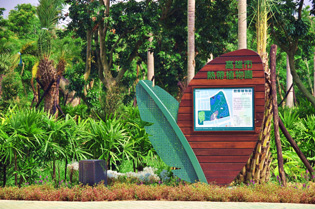 「高雄市熱帶植物園」保存了移植樹木,增生不同的生態情趣。(圖/高雄市政府工務局養護工程處提供) 「高雄市熱帶植物園」保存了移植樹木,增生不同的生態情趣。(圖/高雄市政府工務局養護工程處提供)