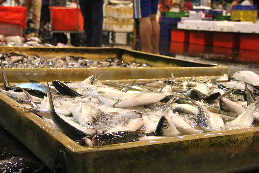 虱目魚是台灣人餐桌上常見的料理。 虱目魚是台灣人餐桌上常見的料理。