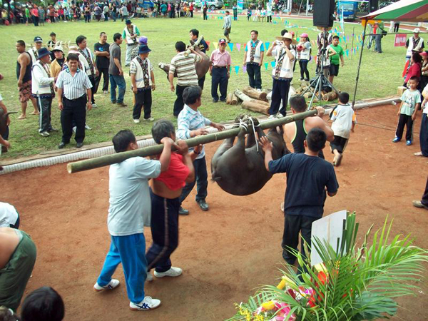 布農族「射耳祭」活動將部落文化代代傳承。(圖/城市紀憶公關顧問公司提供) 布農族「射耳祭」活動將部落文化代代傳承。(圖/城市紀憶公關顧問公司提供)