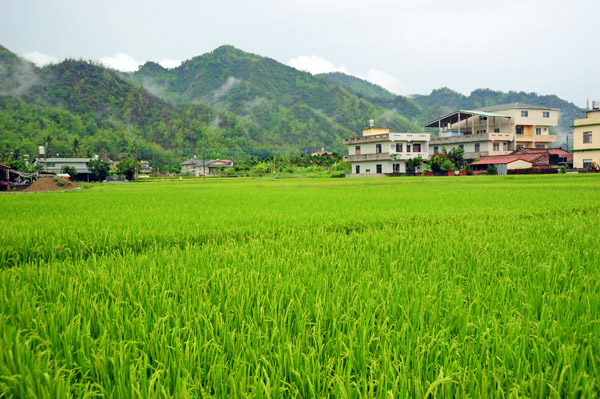 純樸寧靜,充滿傳統人文氣息的美濃農村。(圖/鮑忠暉攝) 純樸寧靜,充滿傳統人文氣息的美濃農村。(圖/鮑忠暉攝)