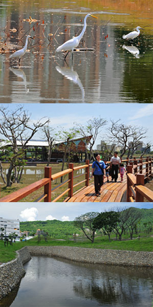 豐富的鳥類與紅樹林生態還原高雄過去的水岸林帶景色。(圖/高雄市政府工務局養護工程處 提供) 豐富的鳥類與紅樹林生態還原高雄過去的水岸林帶景色。(圖/高雄市政府工務局養護工程處 提供)