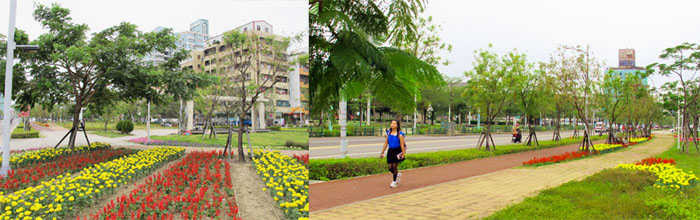 公園路綠8 的40米寬綠廊全線貫通後,鹽埕將呈現嶄新風貌。(圖/鄭黛琳 攝) 公園路綠8 的40米寬綠廊全線貫通後,鹽埕將呈現嶄新風貌。(圖/鄭黛琳 攝)