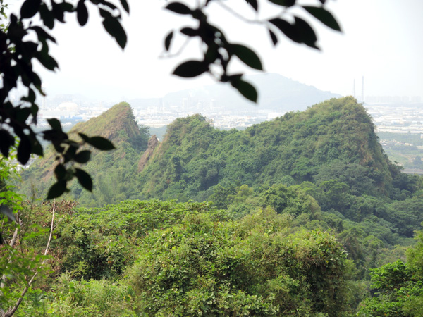 從觀音山上可遠眺觀音山系奇峰及高雄平原。(圖∕徐世雄 攝) 從觀音山上可遠眺觀音山系奇峰及高雄平原。(圖∕徐世雄 攝)