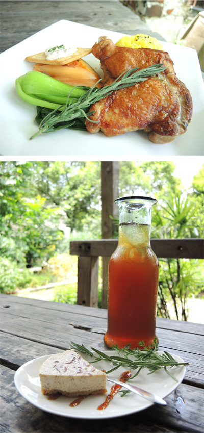 雅植歐洲香草園的香草餐飲平價又可口。(圖∕徐世雄 攝) 雅植歐洲香草園的香草餐飲平價又可口。(圖∕徐世雄 攝)