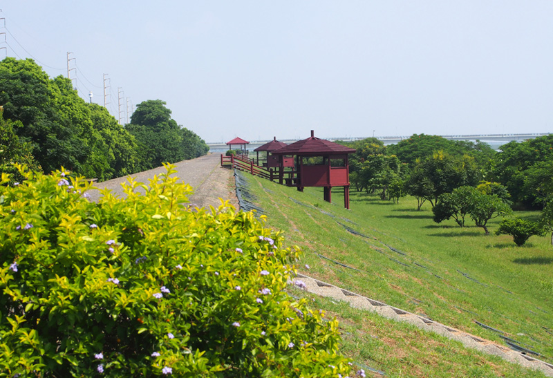 高屏溪下游綠意盎然的紅樹林秘境。(圖∕張筧 攝) 高屏溪下游綠意盎然的紅樹林秘境。(圖∕張筧 攝)