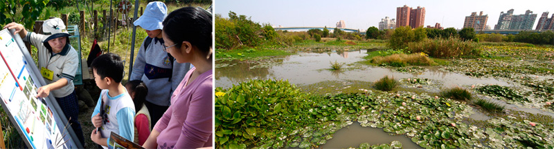 洲仔濕地公園是高雄第一個獲認證的環境教育場域。(圖∕張簡英豪 攝) 洲仔濕地公園是高雄第一個獲認證的環境教育場域。(圖∕張簡英豪 攝)