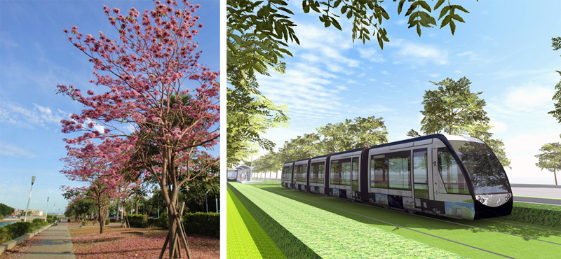 凱旋路重建工程將進行景觀美化並銜接輕軌捷運綠帶。(圖∕張筧 攝‧高雄市政府捷運局 提供) 凱旋路重建工程將進行景觀美化並銜接輕軌捷運綠帶。(圖∕張筧 攝‧高雄市政府捷運局 提供)