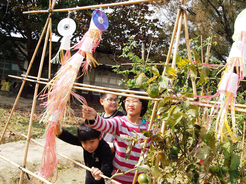 小朋友在志工教導下,在菜圃學習農事。(圖∕張筧 攝) 小朋友在志工教導下,在菜圃學習農事。(圖∕張筧 攝)