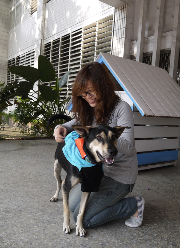 大仁國中的校犬「超仁」。(圖∕李昀諭 攝) 大仁國中的校犬「超仁」。(圖∕李昀諭 攝)