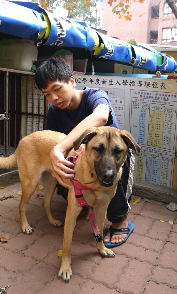 「友善校犬計畫」讓學校師生從與校犬互動中培養尊重生命、愛護動物的正確觀念。(圖∕李昀諭 攝) 「友善校犬計畫」讓學校師生從與校犬互動中培養尊重生命、愛護動物的正確觀念。(圖∕李昀諭 攝)