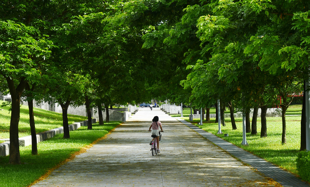 衛武營都會公園腹地遼闊,是出遊散步的好選擇。(圖/張簡英豪 攝) 衛武營都會公園腹地遼闊,是出遊散步的好選擇。(圖/張簡英豪 攝)