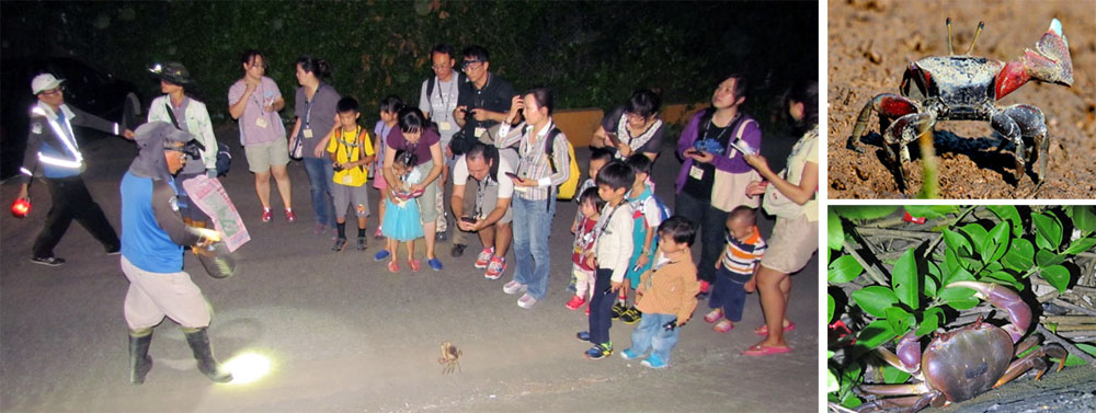 「守護陸蟹媽媽」活動讓大家學習尊重生命。(圖/台灣溼地保護聯盟 提供) 「守護陸蟹媽媽」活動讓大家學習尊重生命。(圖/台灣溼地保護聯盟 提供)