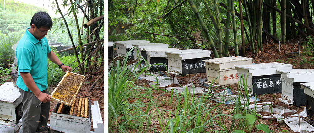 左圖:蜜匠蜂蜜尹建敦老闆大三時決定接手家業,傳承前兩代的智慧。(quava·攝影)右圖:父親時代稱合興,到尹建敦時改稱蜜匠。(quava·攝影) 左圖:蜜匠蜂蜜尹建敦老闆大三時決定接手家業,傳承前兩代的智慧。(quava·攝影)右圖:父親時代稱合興,到尹建敦時改稱蜜匠。(quava·攝影)