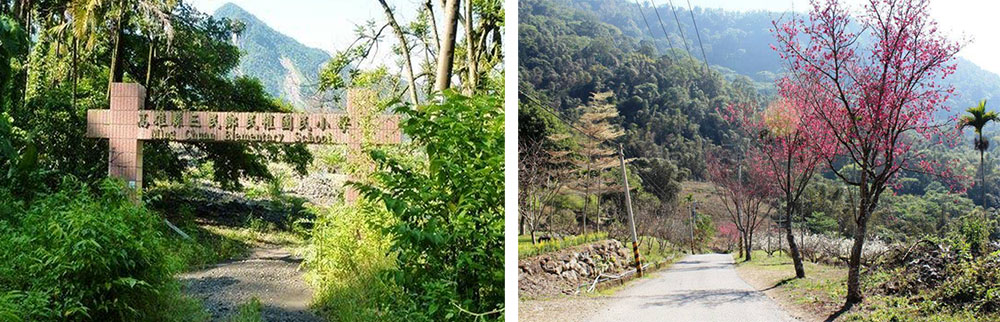左圖:2009年時,莫拉克風災曾讓那瑪夏民權國小近乎全毀。(林浩然·攝影)右圖:通往民權國小的主要道路,每逢2月正值花開的時節,相當美麗。(林浩然·攝影) 左圖:2009年時,莫拉克風災曾讓那瑪夏民權國小近乎全毀。(林浩然·攝影)右圖:通往民權國小的主要道路,每逢2月正值花開的時節,相當美麗。(林浩然·攝影)