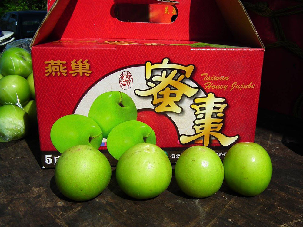 春節前夕盛產的燕巢蜜棗。(董增立·攝影) 春節前夕盛產的燕巢蜜棗。(董增立·攝影)