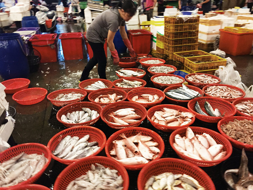 新鮮魚貨。(許組長.攝影) 新鮮魚貨。(許組長.攝影)