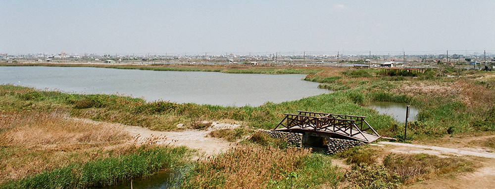 茄萣濕地。(攝影/畝嘰斗) 茄萣濕地。(攝影/畝嘰斗)