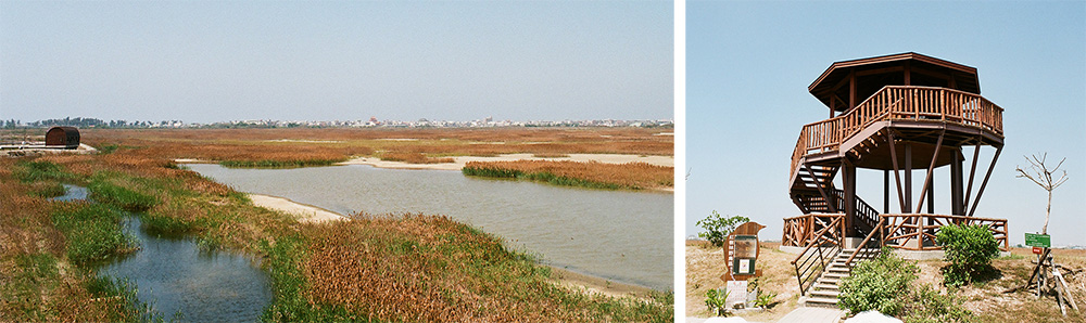 左:溼地風景。右:賞鳥樓。(攝影/畝嘰斗) 左:溼地風景。右:賞鳥樓。(攝影/畝嘰斗)