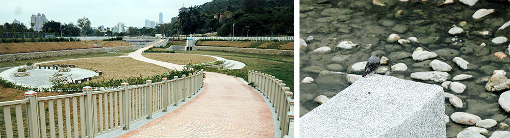 歡迎來柴山滯洪公園散步(攝影/郭宸志) 歡迎來柴山滯洪公園散步(攝影/郭宸志)