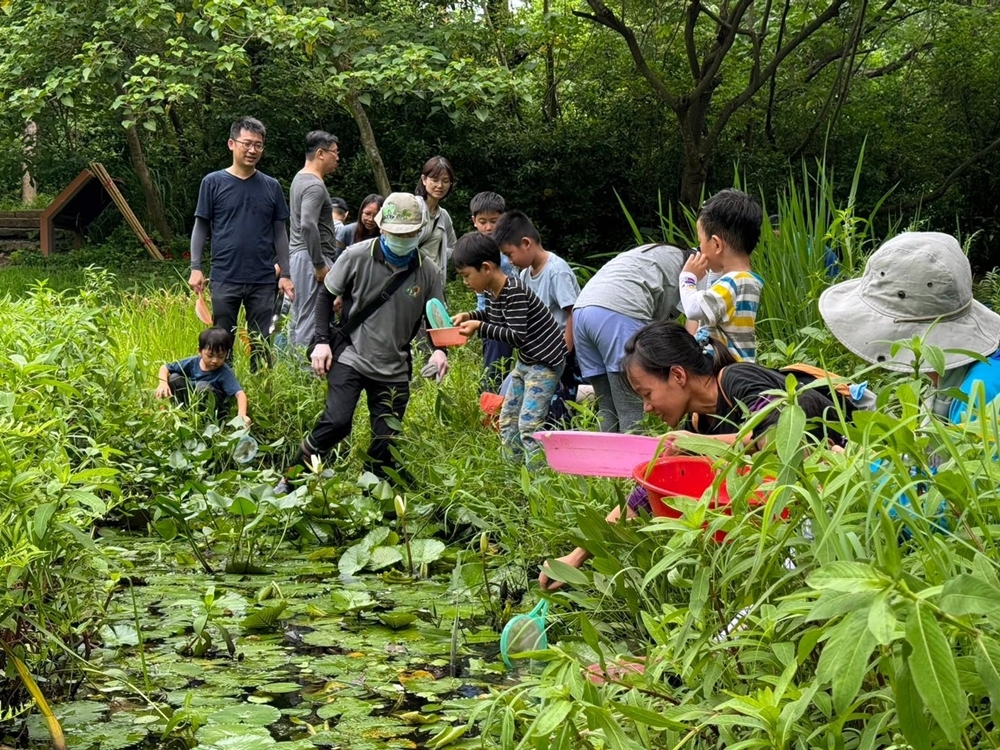 鳥松濕地由社團法人高雄市野鳥學會認養管理,每週日舉辦導覽,並定期舉辦生態講座和手作、種植水稻、夜間觀察、釣除外來種魚類等體驗活動。(上:圖片提供/社團法人高雄市野鳥學會、下:攝影/李瑰嫻) 鳥松濕地由社團法人高雄市野鳥學會認養管理,每週日舉辦導覽,並定期舉辦生態講座和手作、種植水稻、夜間觀察、釣除外來種魚類等體驗活動。(上:圖片提供/社團法人高雄市野鳥學會、下:攝影/李瑰嫻)