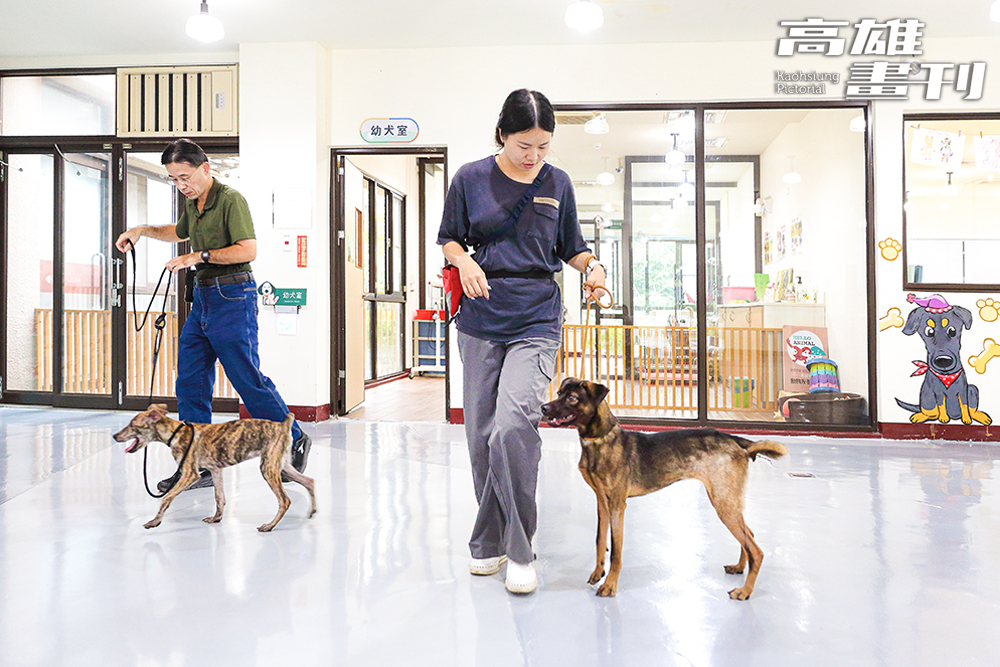 高雄燕巢動物保護園區。(攝影/Carter) 高雄燕巢動物保護園區。(攝影/Carter)