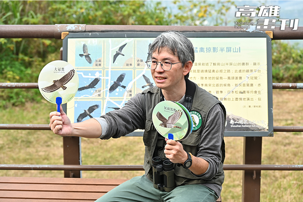 社團法人高雄市野鳥學會研究保育主任楊玉祥表示,半屏山中央瞭望臺是知名的賞鷹據點,不僅能觀察到本地留鳥如鳳頭蒼鷹、大冠鷲、松雀鷹,每年春秋之際,成群南來北往的猛禽過境,更是壯觀非凡,為半屏山增添獨特 社團法人高雄市野鳥學會研究保育主任楊玉祥表示,半屏山中央瞭望臺是知名的賞鷹據點,不僅能觀察到本地留鳥如鳳頭蒼鷹、大冠鷲、松雀鷹,每年春秋之際,成群南來北往的猛禽過境,更是壯觀非凡,為半屏山增添獨特