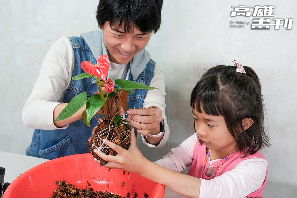 親子一起動手做,綁一顆獨一無二的火鶴花水苔球。(攝影/Cindy Lee) 親子一起動手做,綁一顆獨一無二的火鶴花水苔球。(攝影/Cindy Lee)