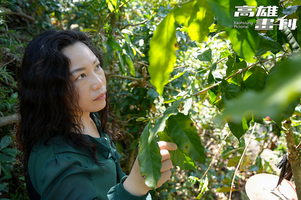 卡爾波農莊的咖啡園以友善環境的方式種植,力慧雯上山巡視時常常看見小動物。(攝影/Cindy Lee) 卡爾波農莊的咖啡園以友善環境的方式種植,力慧雯上山巡視時常常看見小動物。(攝影/Cindy Lee)
