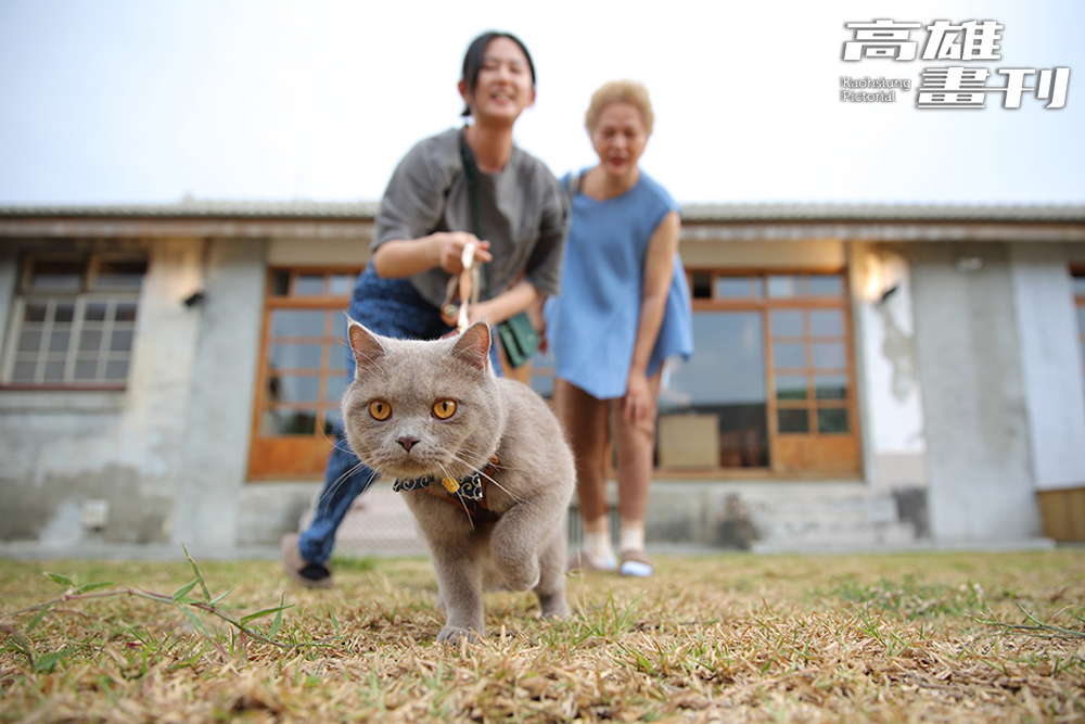 店外的草地，提供一個讓毛孩自由活動的空間。(攝影/Carter)