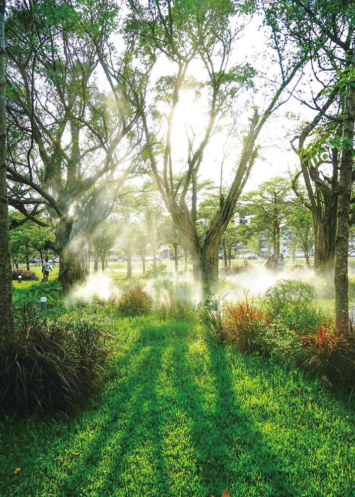 Neiwei Forest Waterway (Photo by Zeng Sin-yao) Neiwei Forest Waterway (Photo by Zeng Sin-yao)