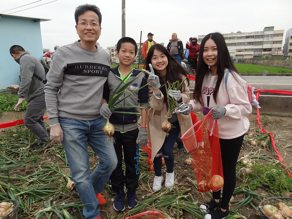 往年盛產季節,林園區會舉辦洋蔥節開放大家來參與採收洋蔥。(圖片提供/林園區區公所) 往年盛產季節,林園區會舉辦洋蔥節開放大家來參與採收洋蔥。(圖片提供/林園區區公所)