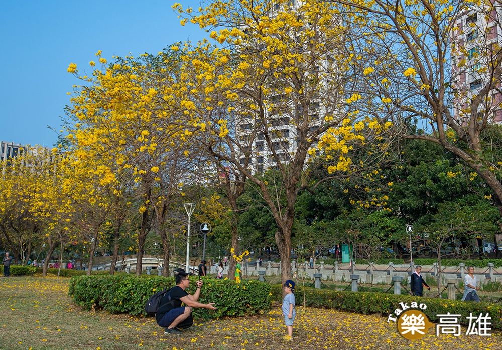 帶著孩子在樹下取景，留下美好回憶。（攝影／新聞局黃敬文；拍攝地點／新莊仔路旁河堤公園）