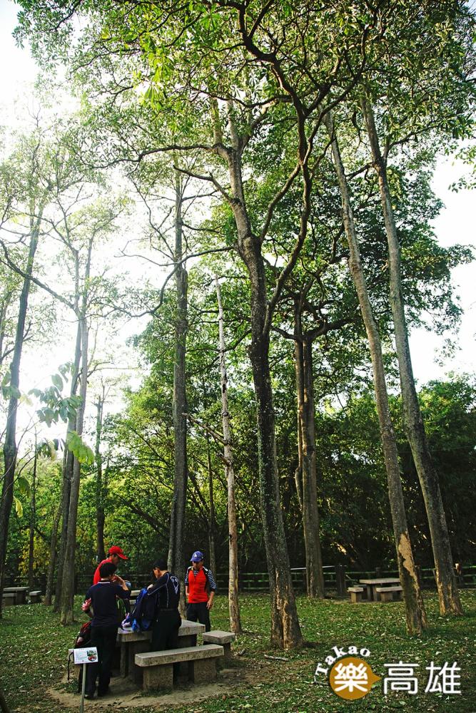 環保公園環境清幽,令人心曠神怡。(攝影/曾信耀) 環保公園環境清幽,令人心曠神怡。(攝影/曾信耀)
