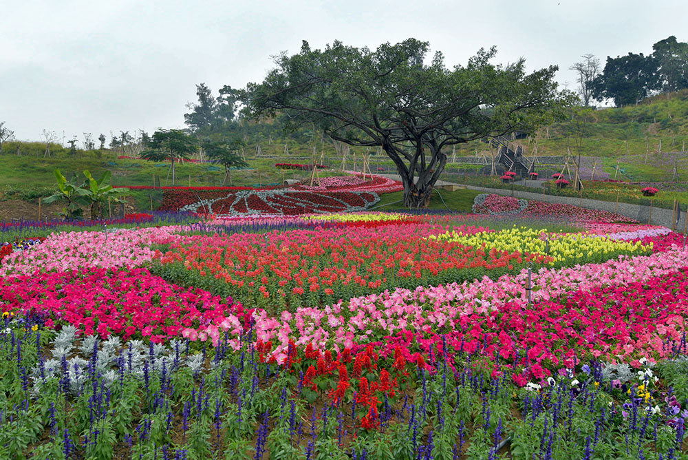 雙湖公園將串接起澄清湖與金獅湖之間重要的生物棲地鍊接地帶。(圖片提供/高雄市政府工務局) 雙湖公園將串接起澄清湖與金獅湖之間重要的生物棲地鍊接地帶。(圖片提供/高雄市政府工務局)