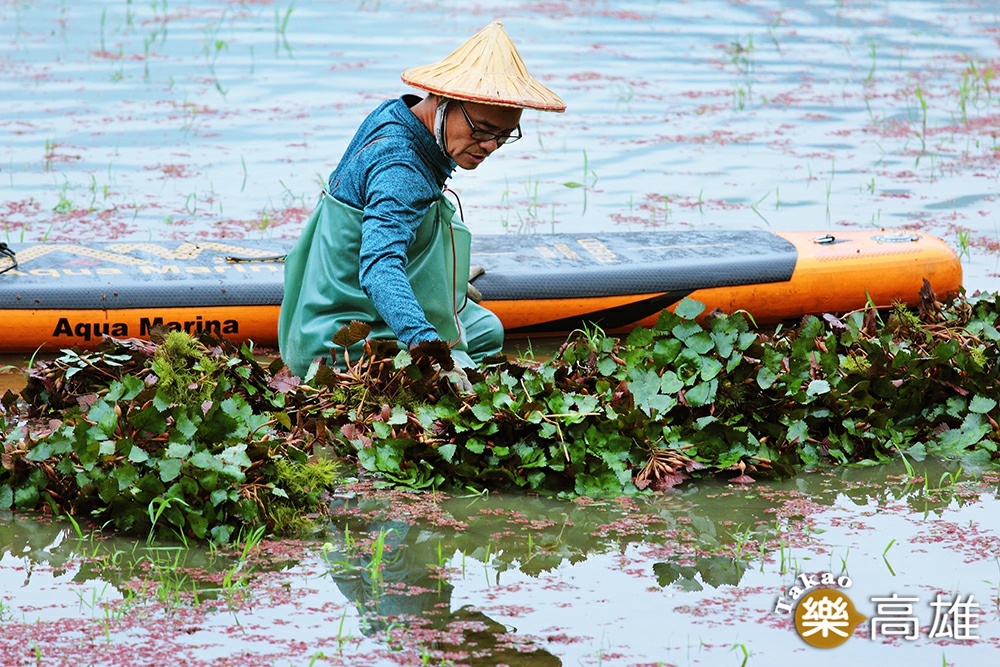 鍾益新拋磚引玉擔當「美濃湖水雉棲地」集資行動召集人。（攝影/Carter）