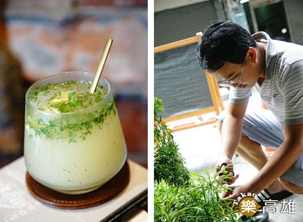 從門口魚菜共生的系統摘取新鮮薄荷,調一杯蘭姆酒香濃郁的Mojito。(攝影/曾信耀) 從門口魚菜共生的系統摘取新鮮薄荷,調一杯蘭姆酒香濃郁的Mojito。(攝影/曾信耀)