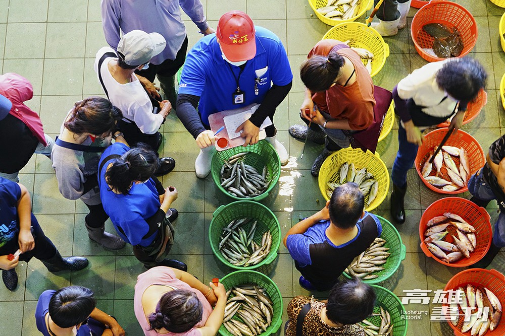 全國第一個獲得HACCP認證的魚市場,使用與日本築地同樣的標準,降低水產品在拍賣過程中受到的污染。(攝影/Cindy Lee) 全國第一個獲得HACCP認證的魚市場,使用與日本築地同樣的標準,降低水產品在拍賣過程中受到的污染。(攝影/Cindy Lee)