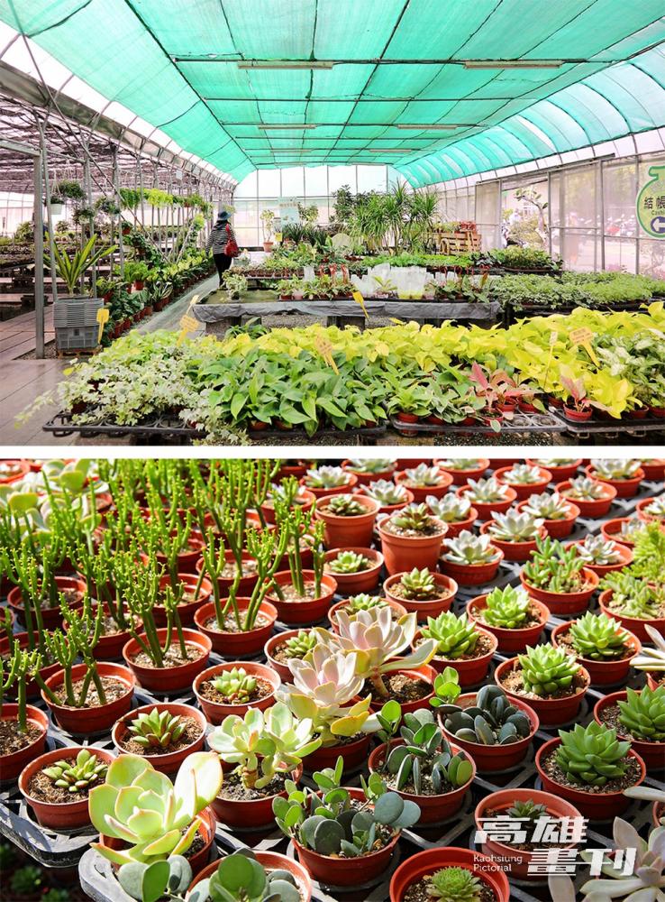 門市部販買種子、園藝植物、果樹種苗，以及園藝用品和合作廠商的優選農產品，商品種類豐富。(攝影/Carter)