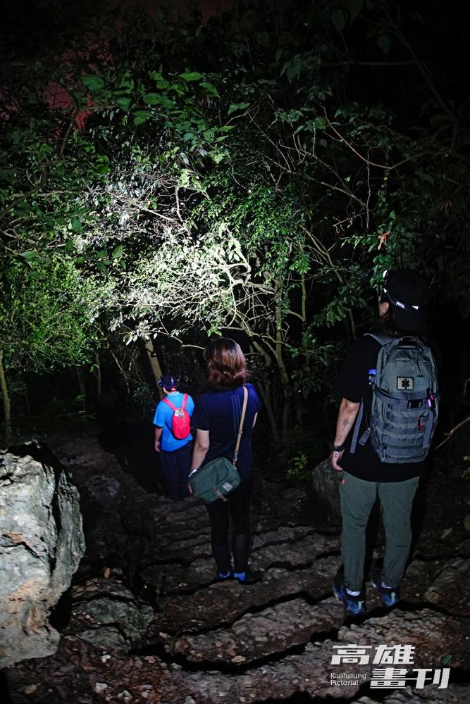 南壽山步道大多為水泥階梯，簡單好走，沿途可欣賞不同高度、角度的高雄市夜景，吸引許多民眾上山賞景。(攝影/曾信耀)