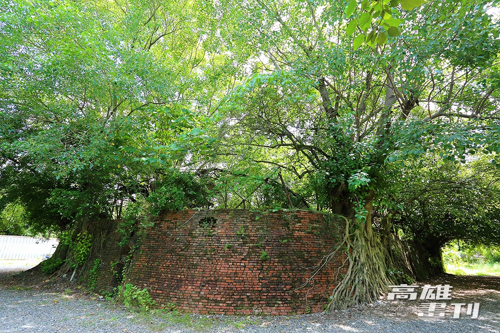 窯體多處被榕樹和菩提樹包圍，形成與樹共生的景象。獨特的風景吸引許多新人來這裡拍婚紗。(攝影/Carter)