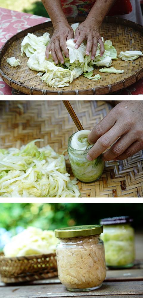 高麗菜乾搓揉後直接裝瓶。 高麗菜乾搓揉後直接裝瓶。